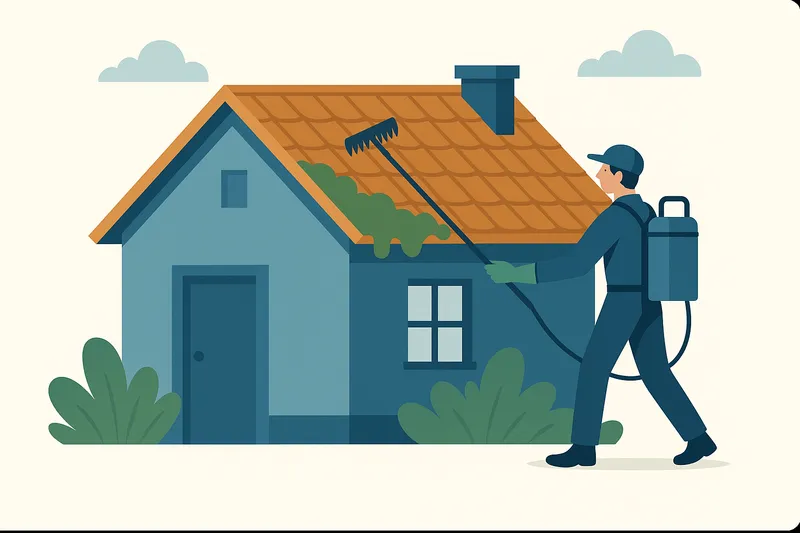 Nettoyage d'Espaces Verts : Guide Complet