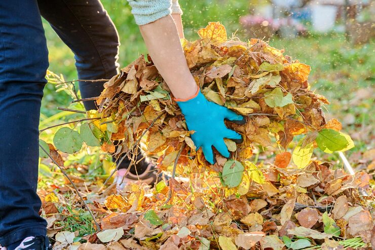 Ramassage professionnel de feuilles mortes en automne à Rive-de-Gier